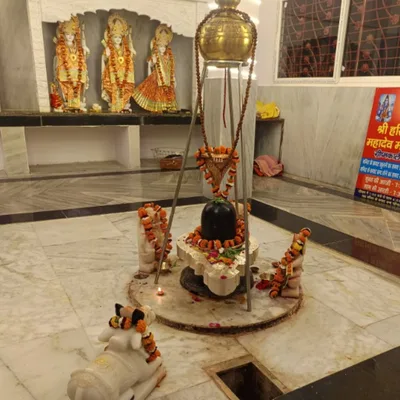 Shivani Pandey